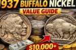 1937 Buffalo Nickel Value Guide: Rare Varieties, Errors and Why These Nickels Are Worth a Fortune
